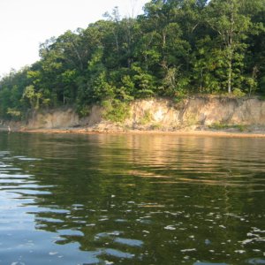 Shoreline on Barkley Canal and Kentucky Lake