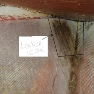 leak detected discoloration outlined by box