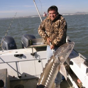 7-1/2 foot sturgeon...before being tossed back over the side