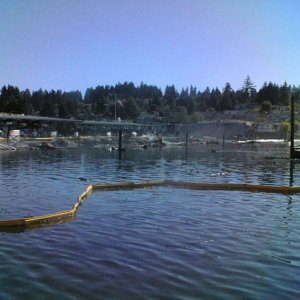 (eieioh) Harborview Marina fire