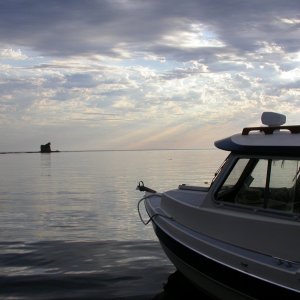 A Pee Wee Morning at Freshwater Bay