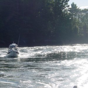 Negotiating the current in the Sheepscot River