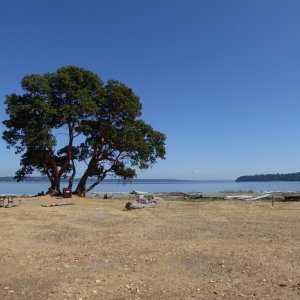 Looking north from the campground at Blake Island