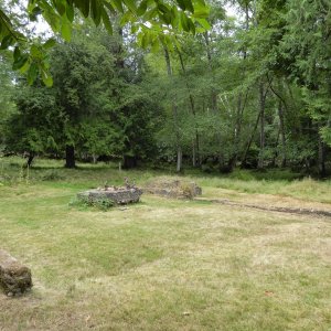 Remnants of the Trimble Homesite