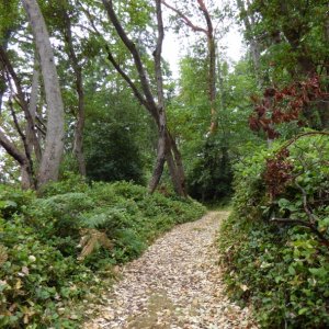 The main trail that goes around Blake. I logged 4 miles on the GPS, but also took a few detours. The park host said it's more like 3.5 miles.