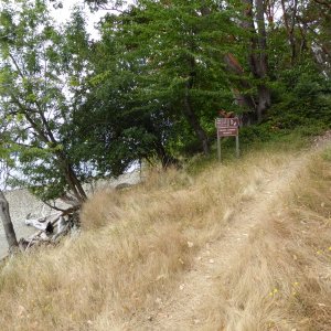 Trail leading up from the south side beach