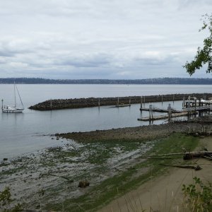 Nearing the end of the 4 mile trail, back at the entrance to the marina.
