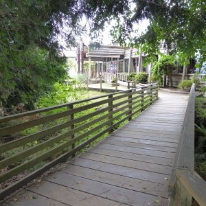 Trail ends back at Tillicum Village
