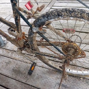 You have to perform regular maintenance with a bicycle on a boat.