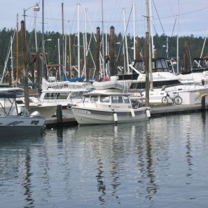 Docked in Friday Harbor
