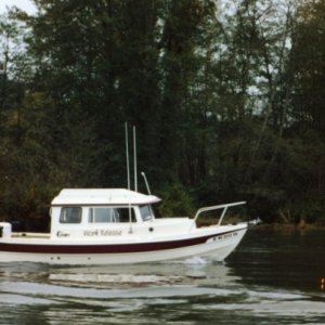 (Work Release) In Honor of Our Troops