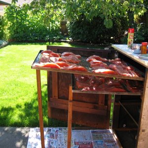 Copy of Nootka Trip 2006 033