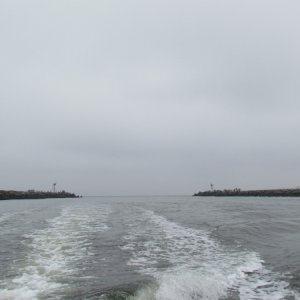 Just coming in from Ocean via MAnaquan Inlet