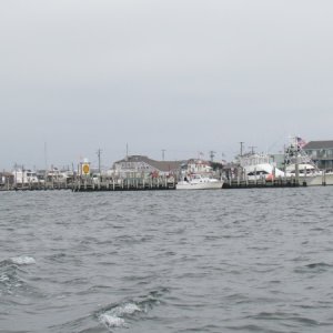 Morrison's Marina in Beach Haven,N.J.