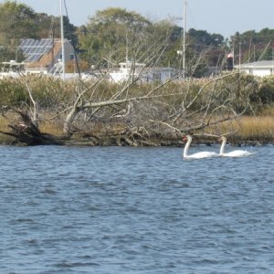 Coming Tuckertown creek ran 95 miles today from the Statue Of Liberty Sheltered Harbor Marina Tuckertown N.J. 33 gallons of gas getting right around 3 mpg
