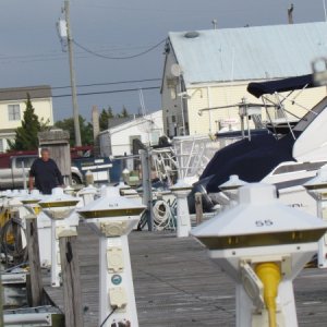 This Sheltered Cove Marina Wednesday Oct.24th On the 29th super storm Sandy hit this place hard. Go www.myfoxphilly.com look for a damage photos and videos tab,click on it once that opens click on the Beach Haven and Tuckerton views. The first three pictures are this same marina.It floated most of the boats on land and broke lines on the ones still in the water and then piled them up on top of one another. The marina store had six foot of water in it.