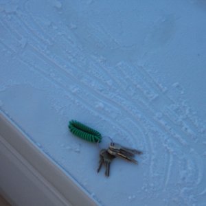 Early morning frost on cooler cushion.