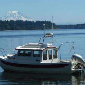 Home anchor, Steamboat Island, south Puget Sound.  Mt Rainier in distance.