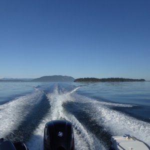 Clark and Barnes and Lummi Islands in the background