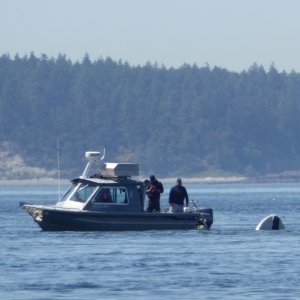 Listening to 16, I heard someone hailing the USCG to report a sunken vessel adrift..the location was nearby, I looked up and realized they were just a few hundred yards away!