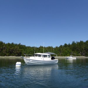 Heading out for a dinghy cruise Saturday afternoon