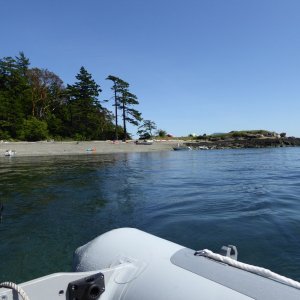 Beach at Patos Island