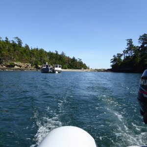 There used to be two buoys at Patos, now only one. Two commercial boats are tied to it, which is against state park regulations.