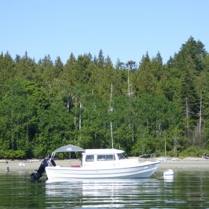 Back at Shallow Bay Saturday afternoon