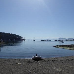 Ashore at Shallow Bay Saturday afternoon to pay the second nights moorage fee