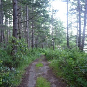 Hike to Johnson Point 5 AM Sunday for some sunrise photos