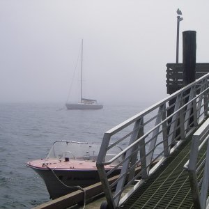 Ramp to dock at SBSP.  Permanent SB resident just off SBSP dock, with fog coming in at near high tide.  The sailboat has been moved (since last fall '12) but is still in Sequim Bay.  State Park forced the move, it was fouling the park mooring buoys.