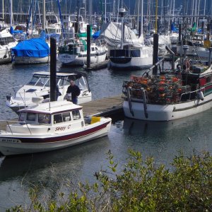 John Wayne dock.  Not just for the beautiful. Lots of the working boats here too.