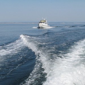 JC Lately in the wake,and Whidbey Island in the background.  HH Cal 09-06 Jun