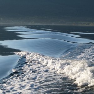 WAKE IN THE MORNING SUN.  Sequim Bay early morning run. (Look for the nuances of the light on the water.  hh)