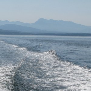 Hurricane Ridge, Olympic National Park in the wake.