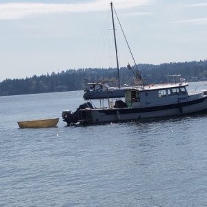 C-Dory 27 Tikibah at Blake Island