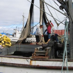Seine crew overhauling their gear before an opening.