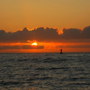 The Gulf