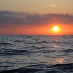 Waves in the Gulf