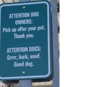 dog sign