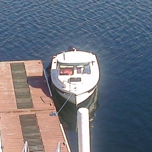 dory at rest
