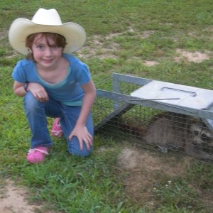 Betsy, 8 Year Old Raccoon Trapper