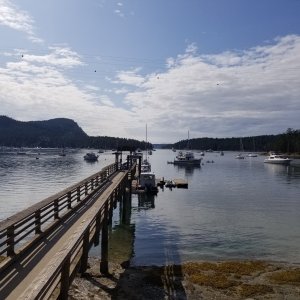 Montague Harbor
