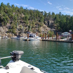 Other Cape Cruiser at Poets Cove
