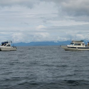 (3rd Byte) Barrel of Monkeys and Blue Sea off Cabin Bay.
