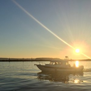 Sunset Cruise