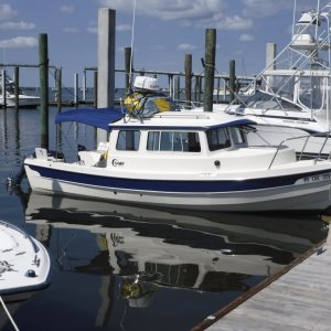 Media 'Snooks At Beaufort NC' in album 'Snooks At Hammocks Beach State Park Swansboro NC'