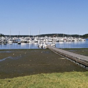 Desert Dory tied up at the dingy dock