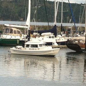 John Wayne marina after halibut fishing