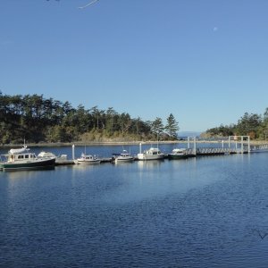 Back at the docks after the morning walk. Even more space now but still didn't feel like moving the boat.